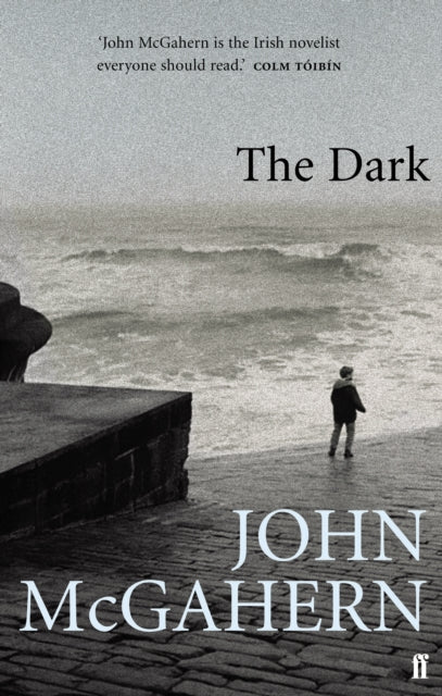 The Dark by John McGahern book cover with a person looking at the sea.