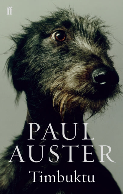 Timbuktu by Paul Auster, featuring a dog's face and title text.