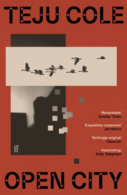 Open City by Teju Cole book cover with flying birds and city silhouette.