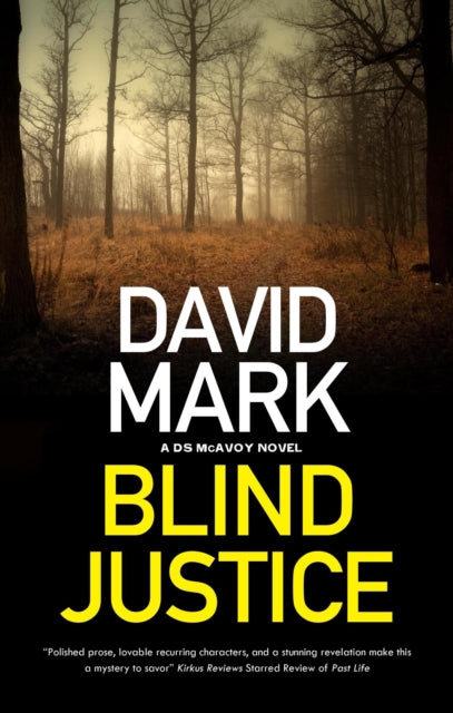 Blind Justice by David Mark book cover featuring a forest scene.