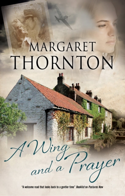 A Wing and a Prayer book cover with a couple, a plane, and houses.
