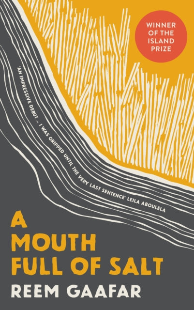 A Mouth Full of Salt book cover with abstract yellow and grey design.