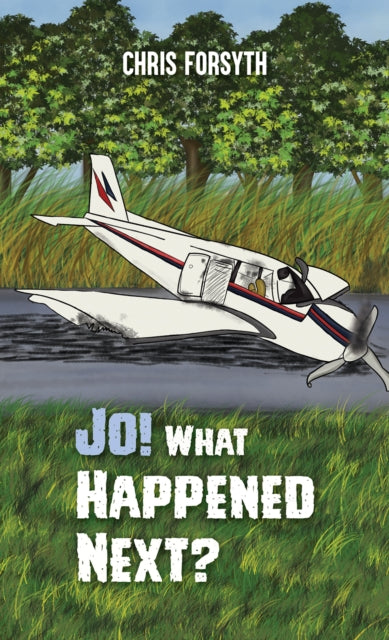 Jo! What Happened Next? book cover with a plane crash.