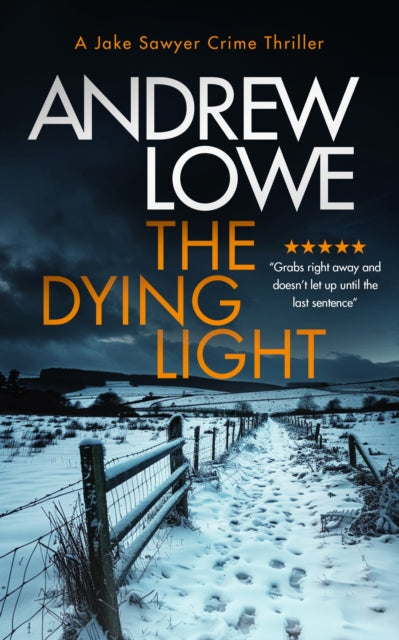 The Dying Light book cover with a snowy path and fence.