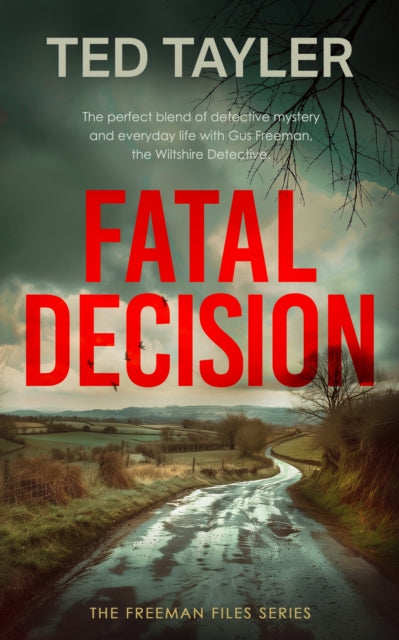 Fatal Decision book cover with a winding road and dramatic sky.