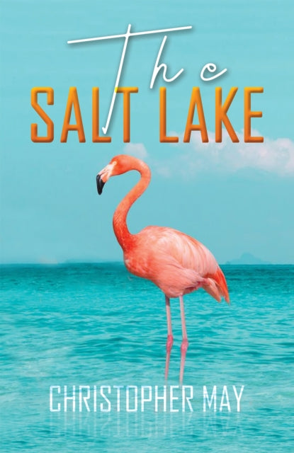 The Salt Lake book cover with a flamingo and text.