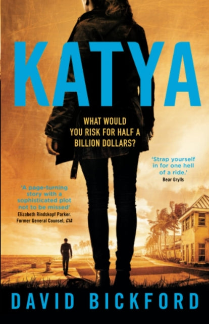 Katya book cover with a woman standing and text about risk and money.