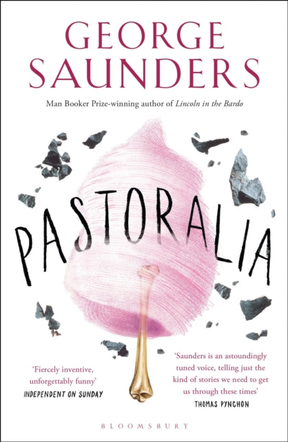Pastoralia by George Saunders book cover with pink cotton candy and dark fragments.