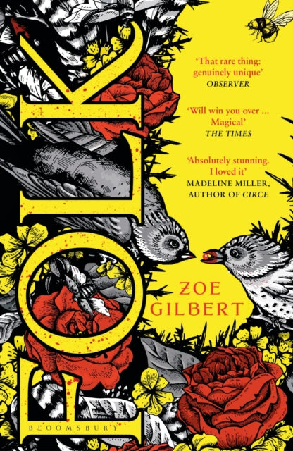 Folk by Zoe Gilbert book cover with birds and flowers.
