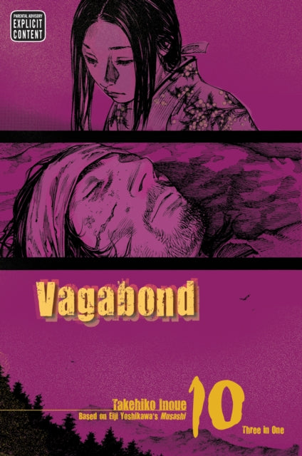 Vagabond Vol. 10 VIZBIG Edition manga cover with two panels of art.