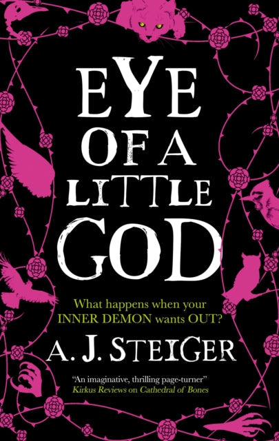 Eye of a Little God book cover with pink illustrations on a black background.