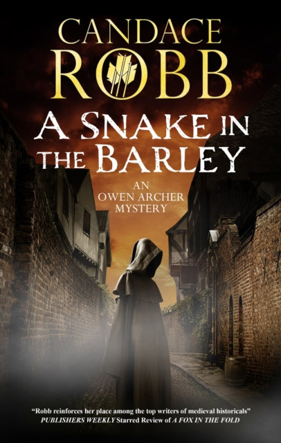 A Snake in the Barley book cover featuring a hooded figure in a medieval alley.