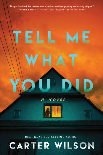 Book cover for "Tell Me What You Did" by Carter Wilson.