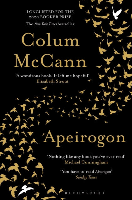 Apeirogon by Colum McCann, a novel about Israel, Palestine and shared grief.