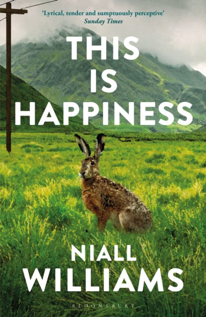 Book cover for "This Is Happiness" by Niall Williams featuring a hare.