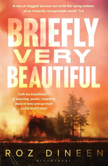 Book cover for "Briefly Very Beautiful" showing a house on fire.