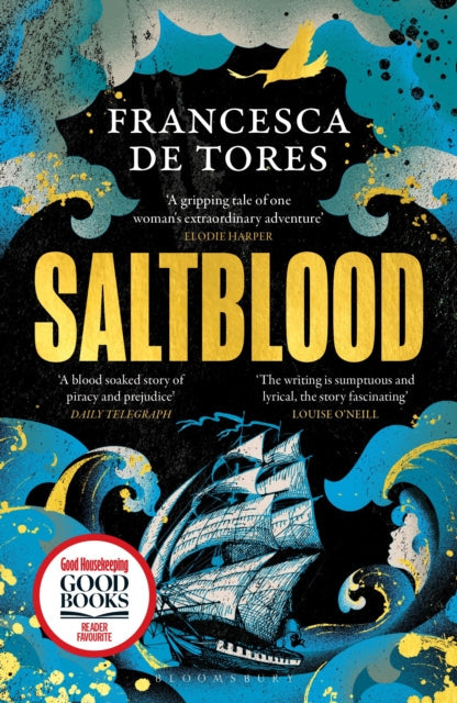 Saltblood book cover with a ship on stormy seas.