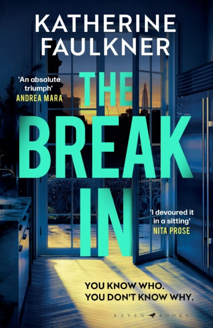 The Break-In book cover with title and quotes.