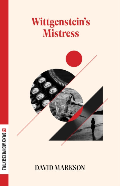 Wittgenstein's Mistress by David Markson book cover.