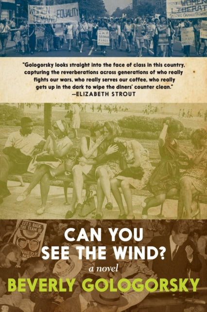 Book cover for "Can You See The Wind?" by Beverly Gologorsky.