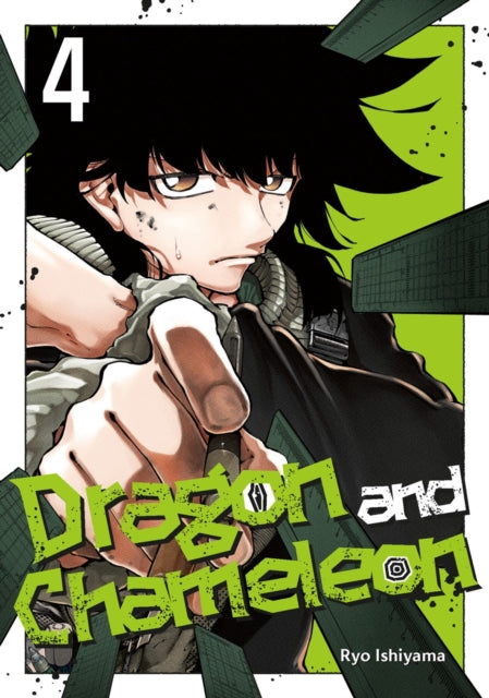 Dragon and Chameleon 04 manga cover featuring a character with black hair.