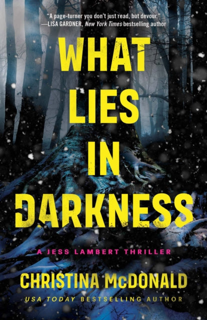 Book cover for "What Lies in Darkness" by Christina McDonald.