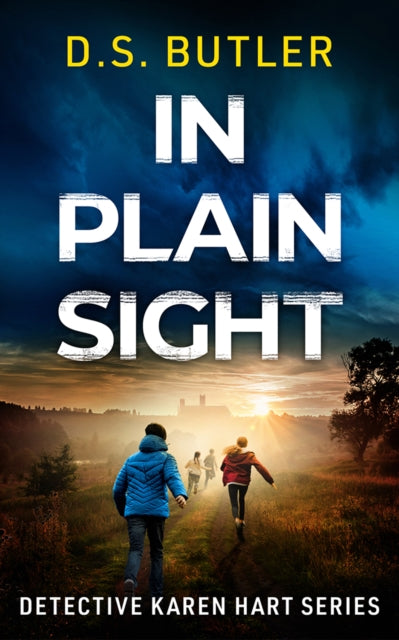 Book cover for "In Plain Sight" by D.S. Butler, featuring a dramatic sky and figures walking towards a distant building.