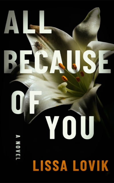 Book cover for "All Because of You" by Lissa Lovik.