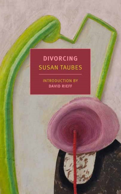 Book cover for "Divorcing Susan Taubes" with abstract art.