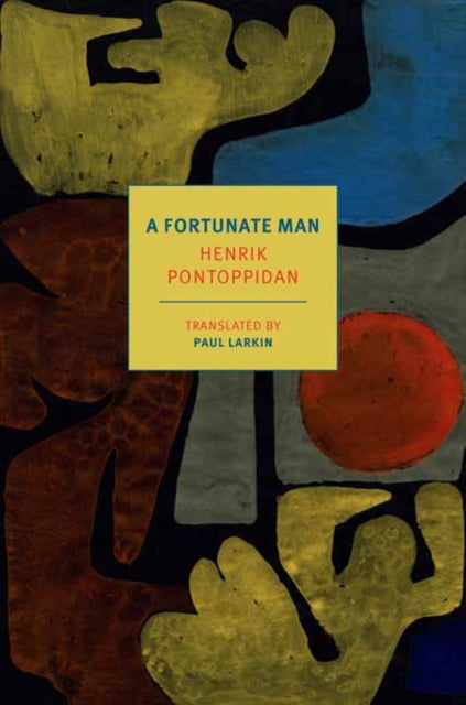 A Fortunate Man book cover with abstract art.