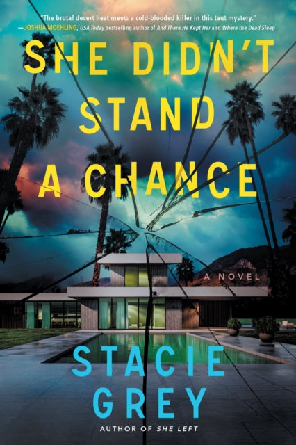 Book cover for "She Didn't Stand a Chance" by Stacie Grey.