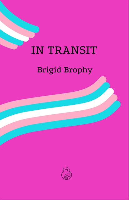 Book cover for "In Transit" by Brigid Brophy with transgender flag accents.