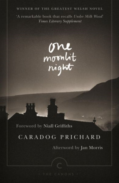 One Moonlit Night book cover with a silhouetted village and mountains.