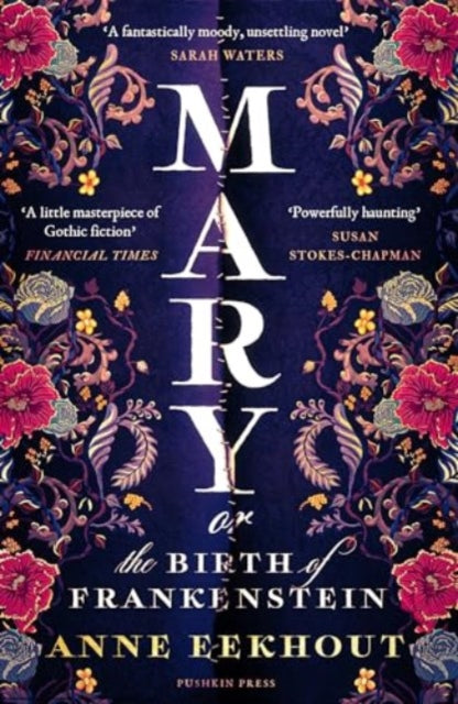 Book cover for Mary or the Birth of Frankenstein by Anne Eekhout.