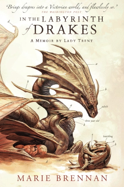 Book cover for "In the Labyrinth of Drakes" featuring dragons.