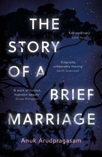 The Story of a Brief Marriage book cover with a starry night background.