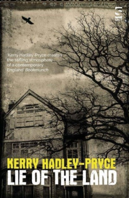 Book cover for Lie of the Land by Kerry Hadley-Pryce.