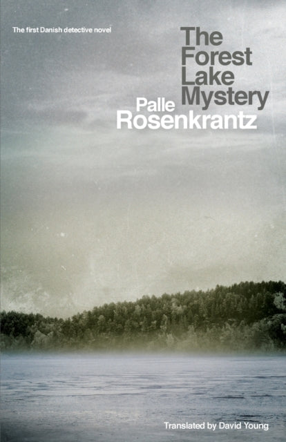 The Forest Lake Mystery book cover with a misty lake and forest.