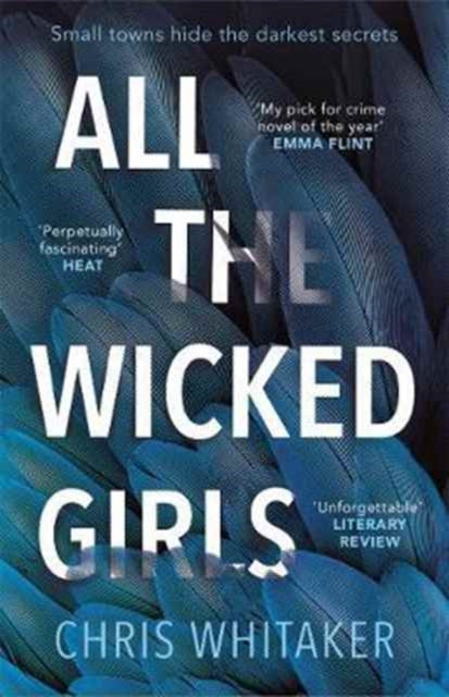 All The Wicked Girls book cover with blue feathers and white text.