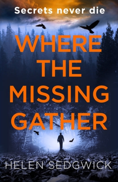 Book cover for "Where the Missing Gather" by Helen Sedgwick.