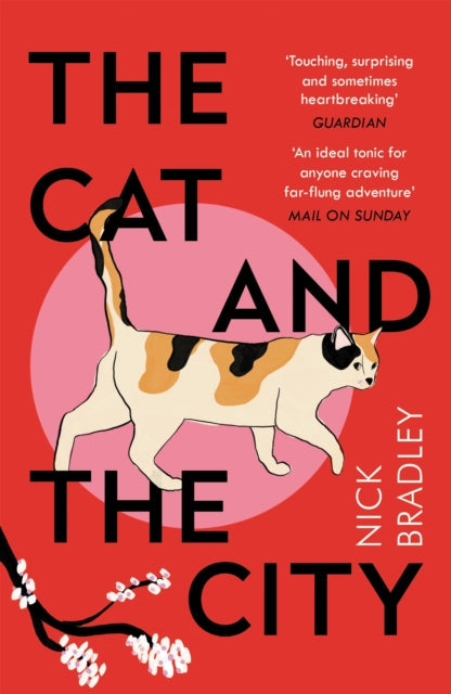 Book cover for The Cat and The City by Nick Bradley featuring a calico cat.
