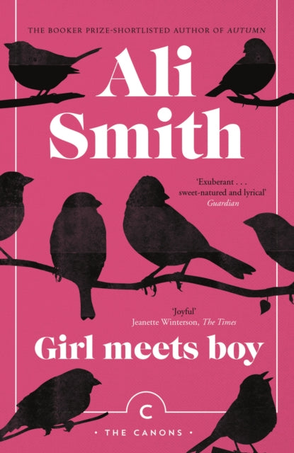 Girl Meets Boy by Ali Smith book cover with birds on branches.