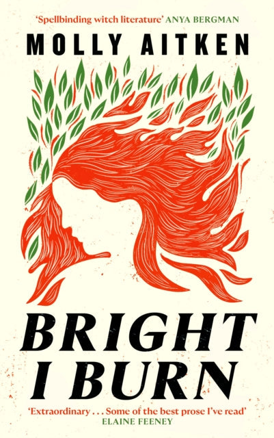 Book cover for Bright I Burn by Molly Aitken.