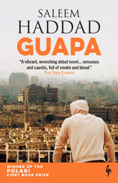 Book cover for Guapa by Saleem Haddad, featuring a person looking over a city.