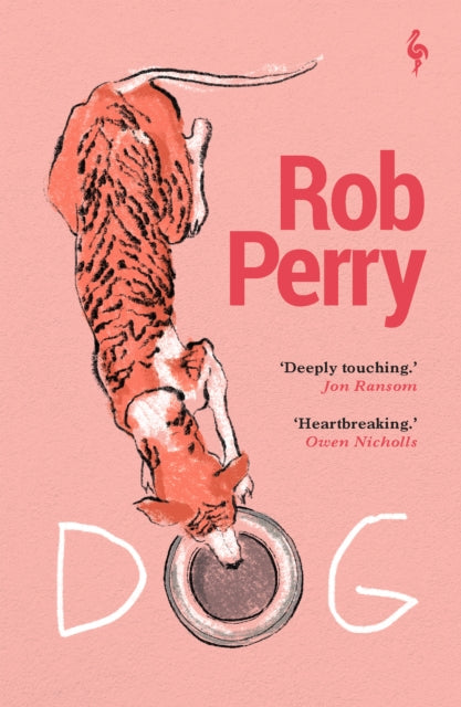 Book cover for Dog by Rob Perry, featuring a dog with tiger stripes drinking from a bowl.