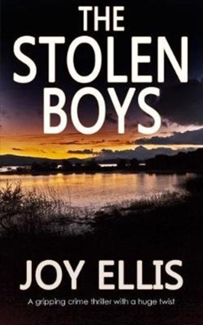 The Stolen Boys by Joy Ellis book cover.