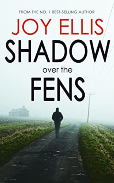 Shadow Over The Fens book cover with a person walking down a foggy road.