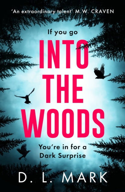 Book cover for "Into the Woods" by D.L. Mark.