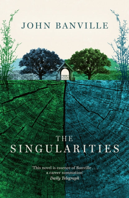 The Singularities book cover by John Banville.