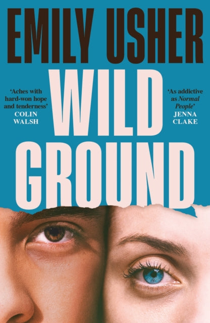 Wild Ground book cover with author and review quotes.